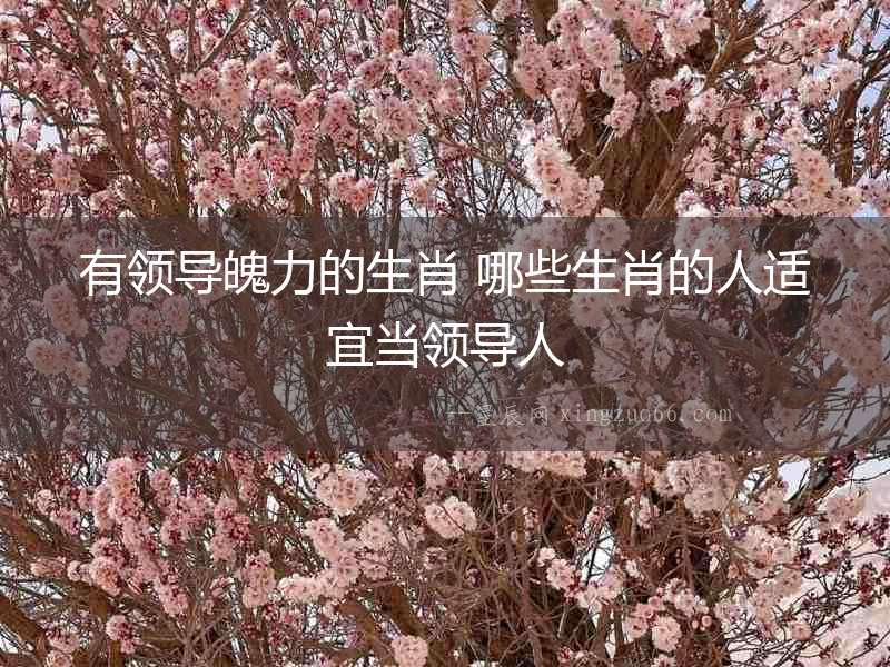 有領導魄力的生肖 哪些生肖的人適宜當領導人