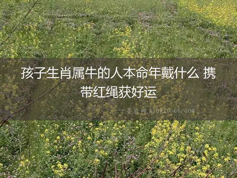 孩子生肖屬牛的人本命年戴什么 攜帶紅繩獲好運