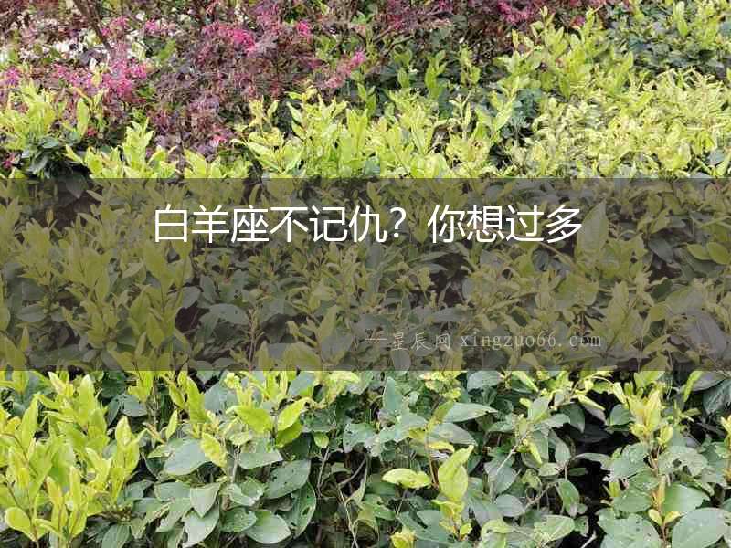 白羊座不記仇？你想過多