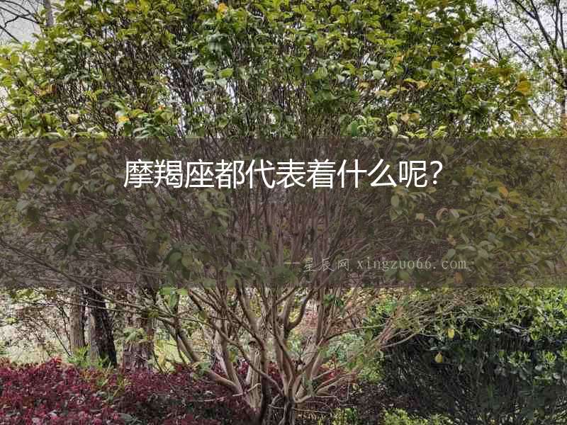 摩羯座都代表著什么呢？