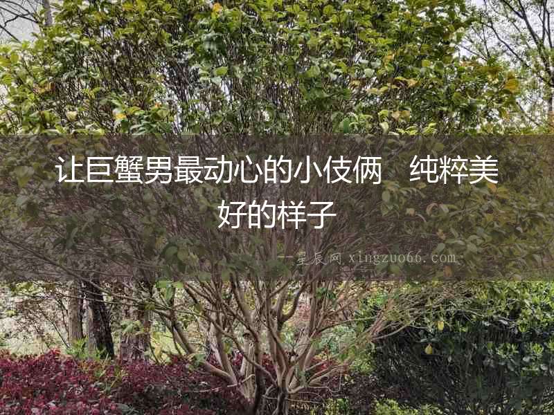 讓巨蟹男最動心的小伎倆   純粹美好的樣子