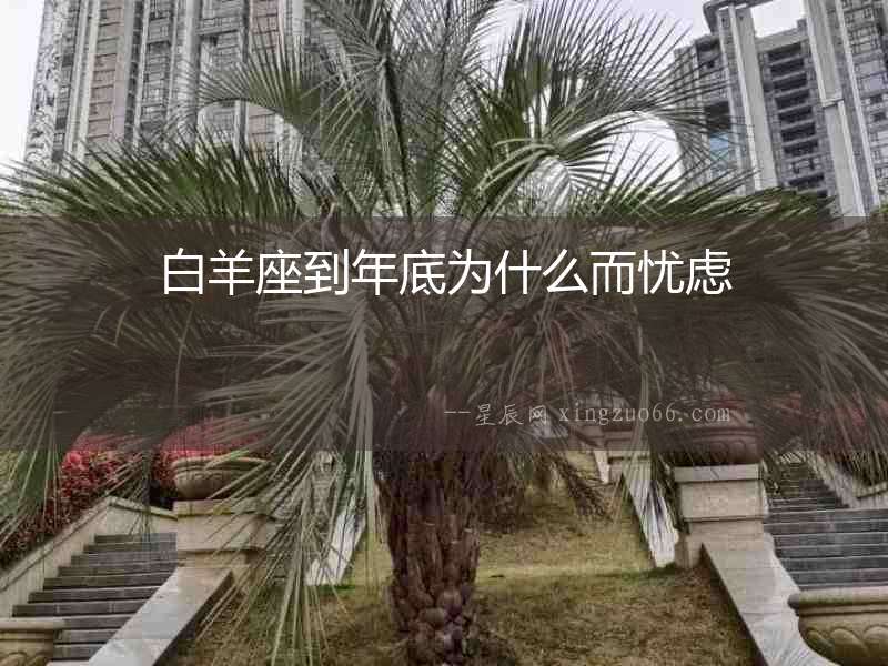白羊座到年底為什么而憂慮