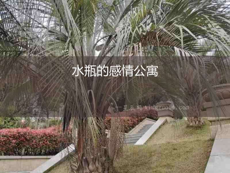 水瓶的感情公寓