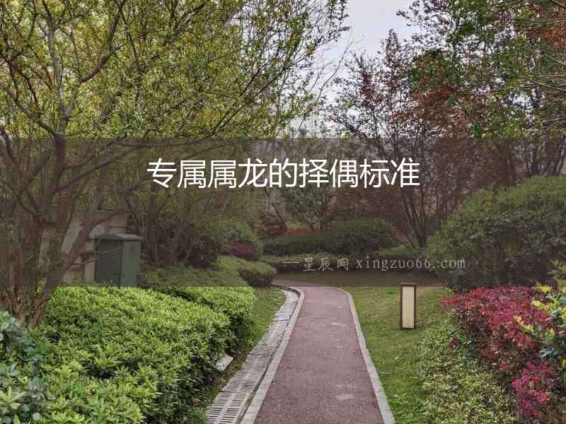 專屬屬龍的擇偶標準