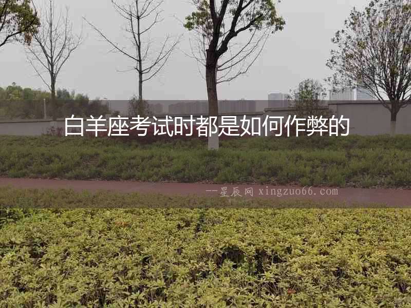 白羊座考試時都是如何作弊的