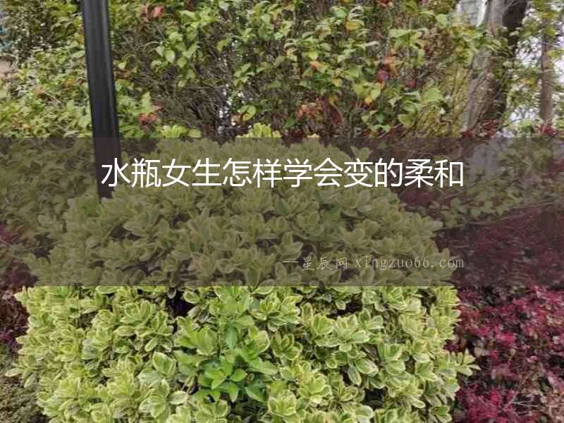水瓶女生怎樣學(xué)會(huì)變的柔和