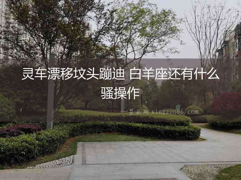 靈車漂移墳頭蹦迪 白羊座還有什么騷操作