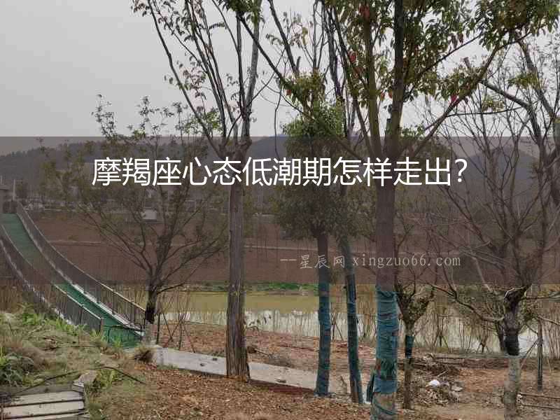 摩羯座心態低潮期怎樣走出？