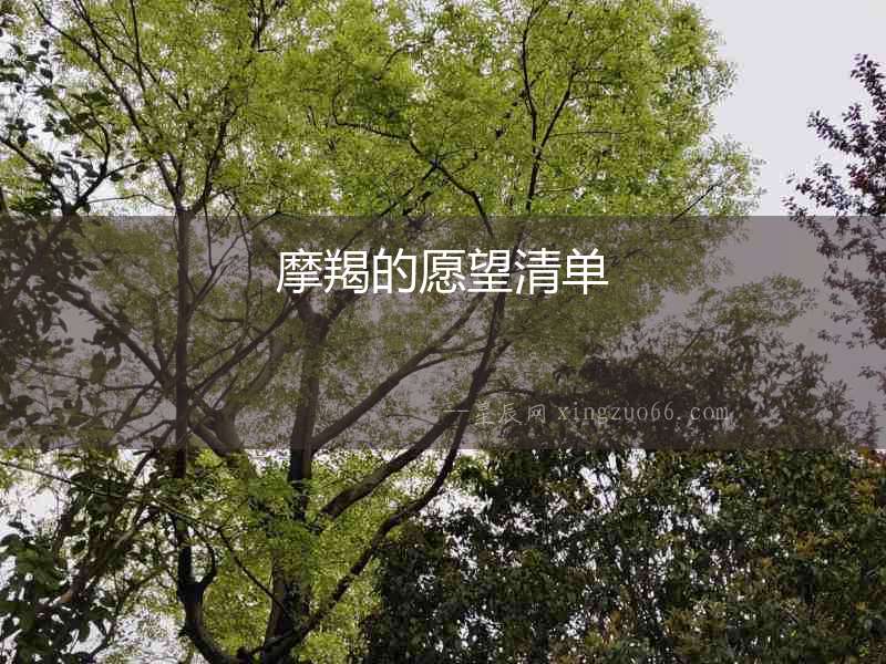 摩羯的愿望清單