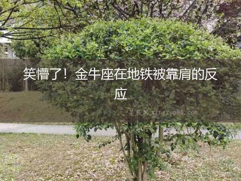 笑懵了！金牛座在地鐵被靠肩的反應(yīng)