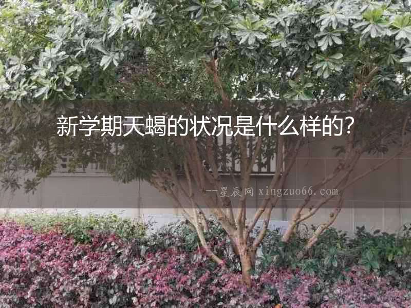 新學期天蝎的狀況是什么樣的？