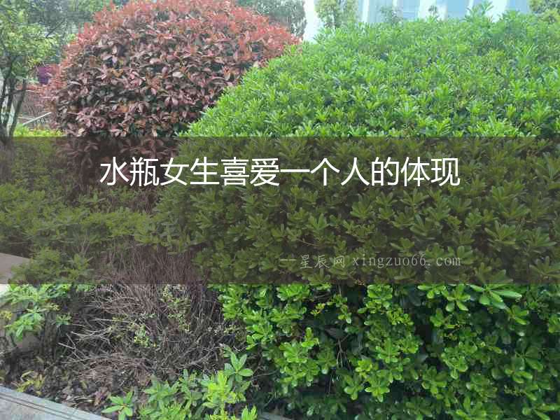水瓶女生喜愛一個人的體現