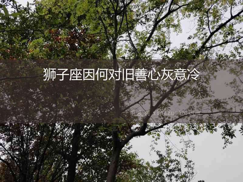 獅子座因何對舊善心灰意冷