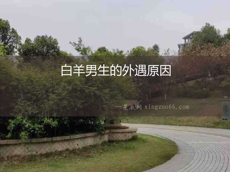 白羊男生的外遇原因