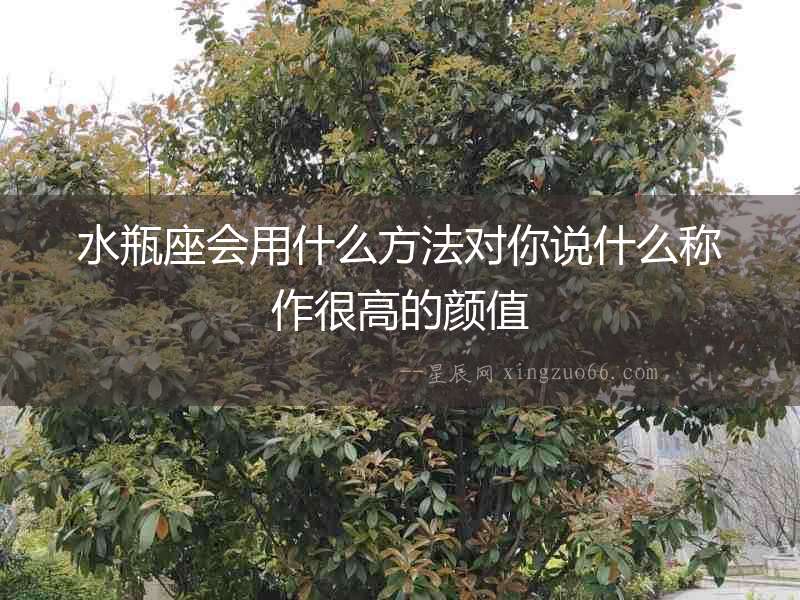 水瓶座會用什么方法對你說什么稱作很高的顏值