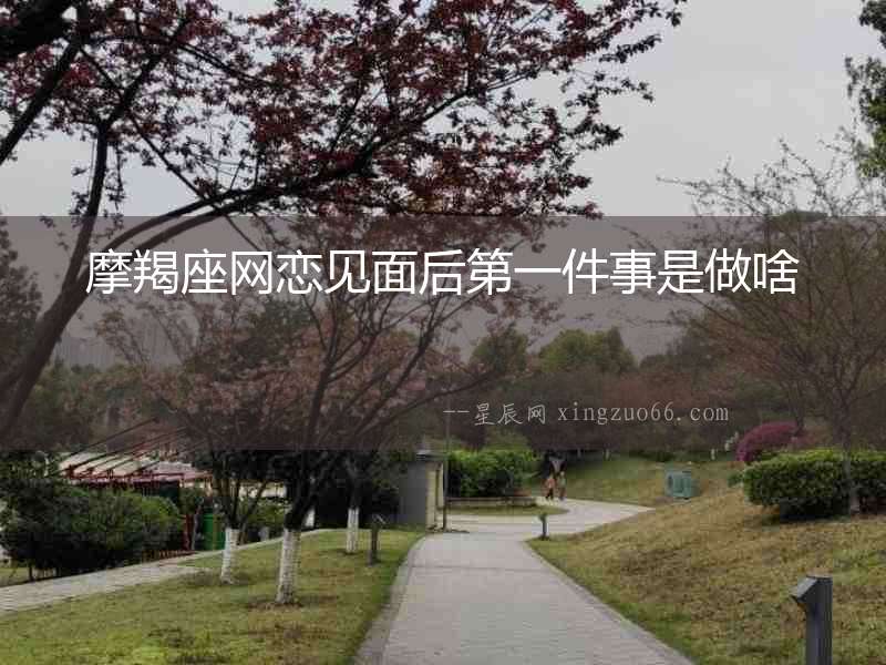 摩羯座網戀見面后第一件事是做啥