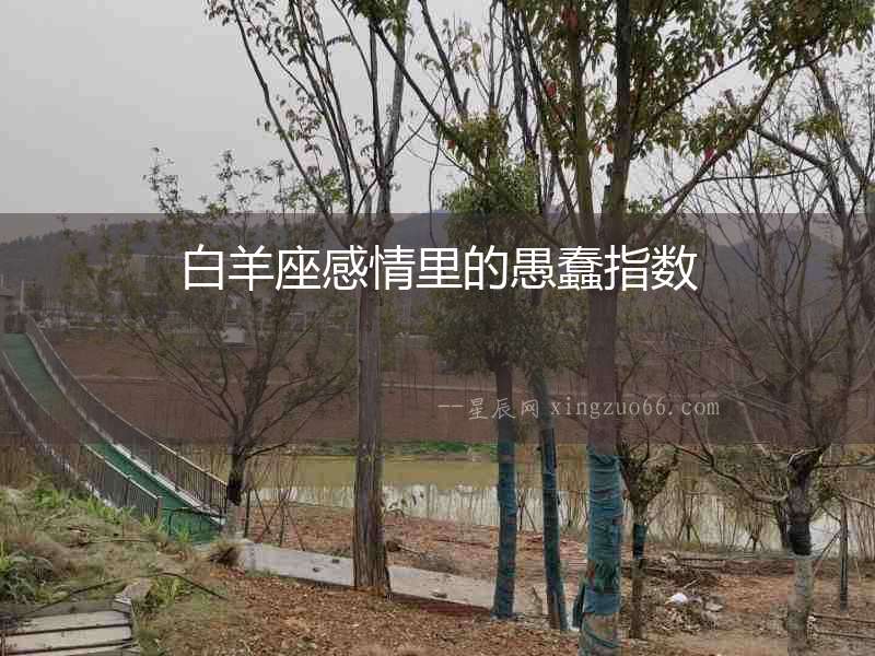 白羊座感情里的愚蠢指數(shù)