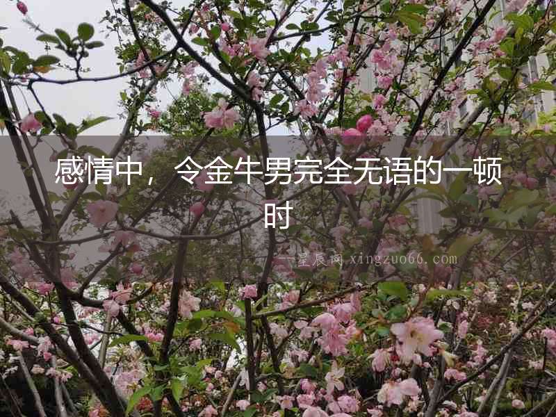 感情中，令金牛男完全無語的一頓時
