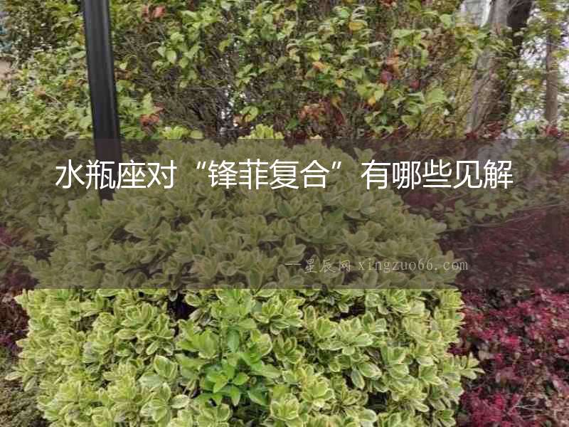 水瓶座對“鋒菲復合”有哪些見解