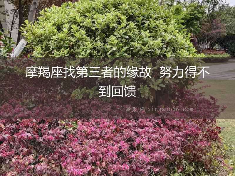 摩羯座找第三者的緣故  努力得不到回饋