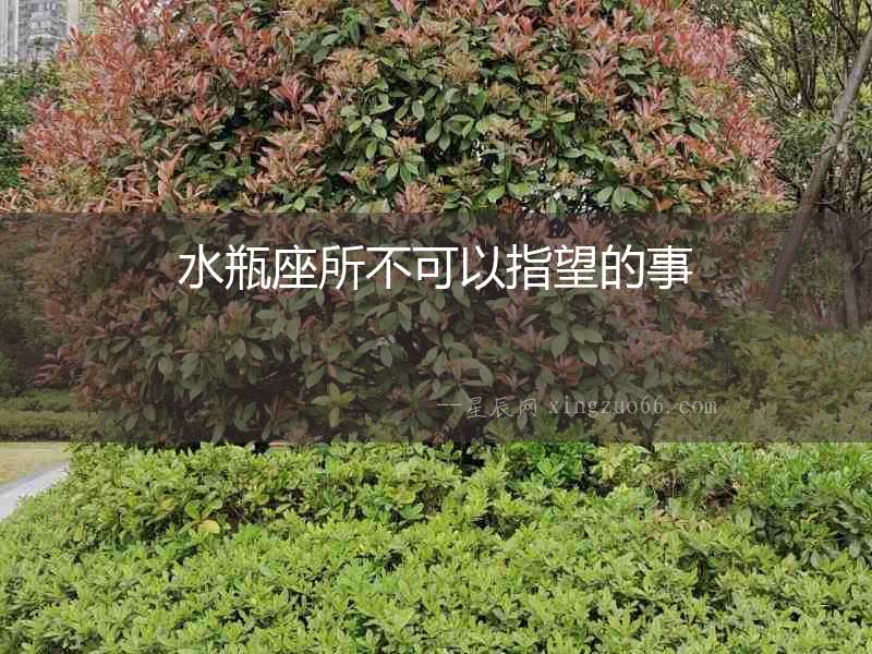 水瓶座所不可以指望的事