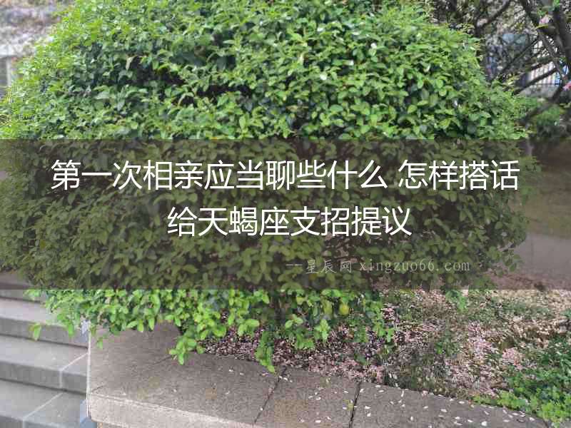 第一次相親應(yīng)當(dāng)聊些什么 怎樣搭話 給天蝎座支招提議