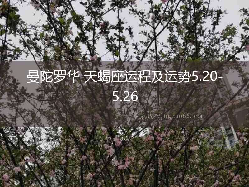 曼陀羅華 天蝎座運(yùn)程及運(yùn)勢(shì)5.20-5.26
