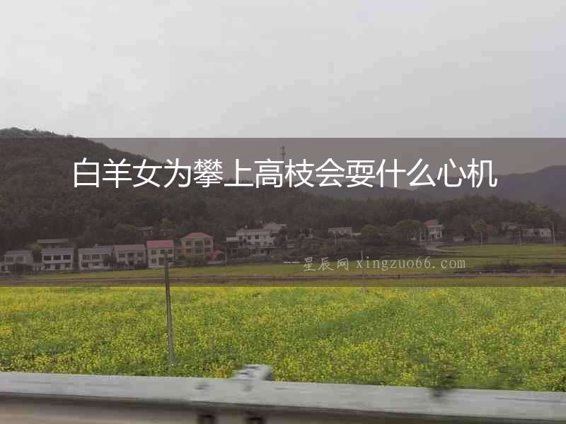 白羊女為攀上高枝會耍什么心機