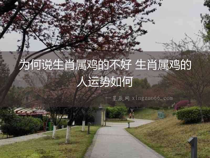 為何說生肖屬雞的不好 生肖屬雞的人運勢如何