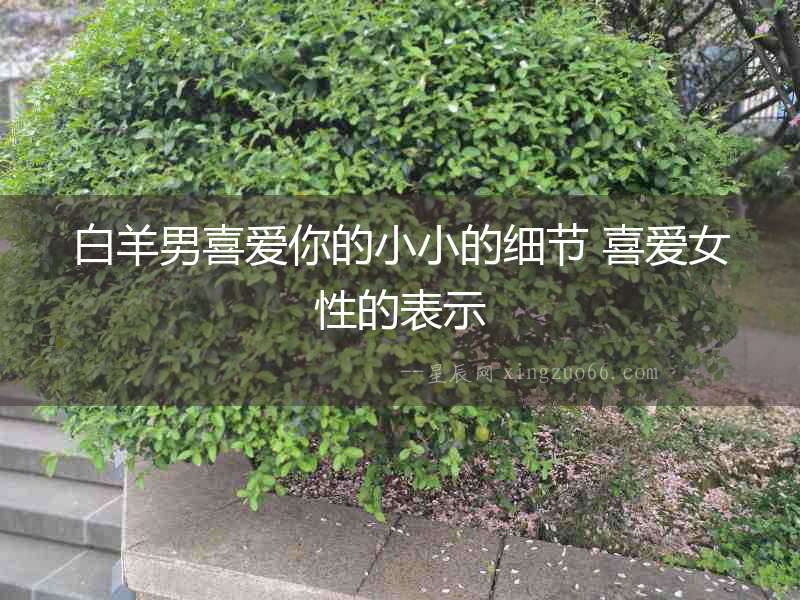 白羊男喜愛你的小小的細節 喜愛女性的表示