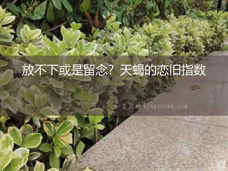 放不下或是留念？天蝎的戀舊指數(shù)