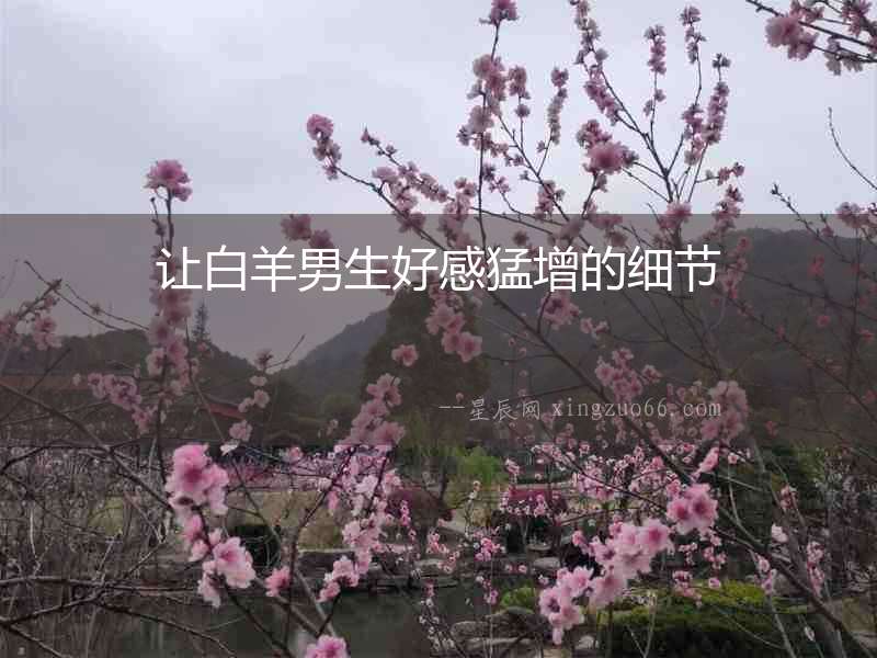 讓白羊男生好感猛增的細節