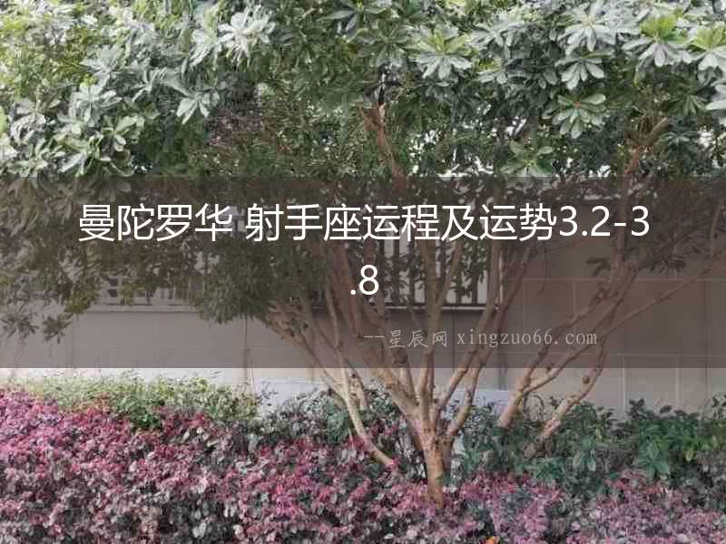 曼陀羅華 射手座運程及運勢3.2-3.8