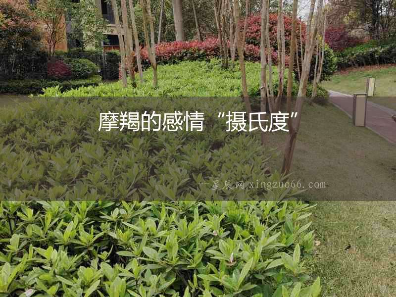 摩羯的感情“攝氏度”