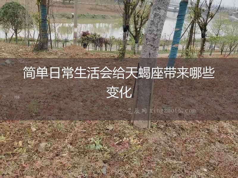簡單日常生活會給天蝎座帶來哪些變化