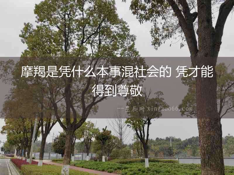 摩羯是憑什么本事混社會的 憑才能得到尊敬