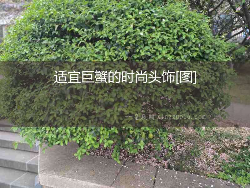 適宜巨蟹的時尚頭飾[圖]