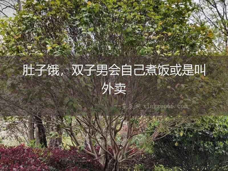 肚子餓，雙子男會(huì)自己煮飯或是叫外賣