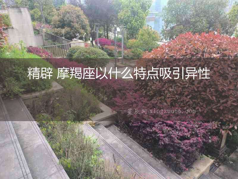 精辟 摩羯座以什么特點吸引異性