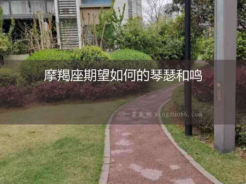 摩羯座期望如何的琴瑟和鳴