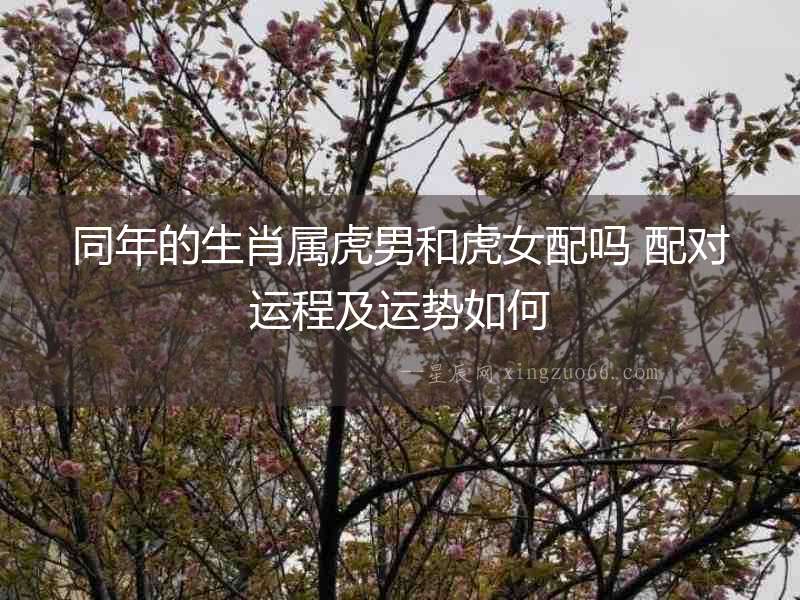 同年的生肖屬虎男和虎女配嗎 配對運(yùn)程及運(yùn)勢如何