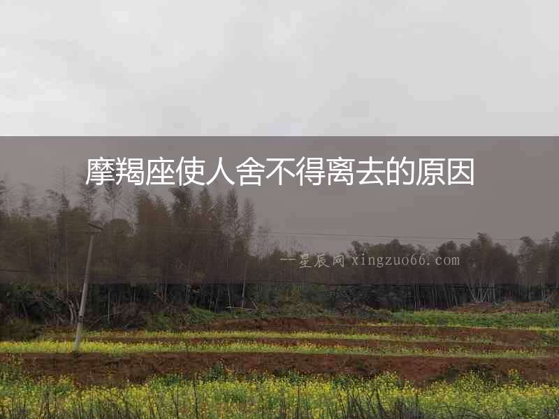 摩羯座使人舍不得離去的原因
