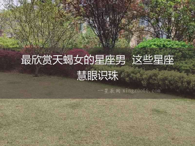 最欣賞天蝎女的星座男  這些星座慧眼識珠