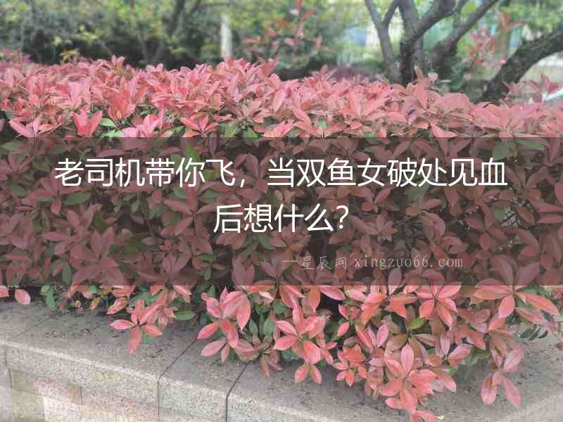 老司機(jī)帶你飛，當(dāng)雙魚女破處見血后想什么？