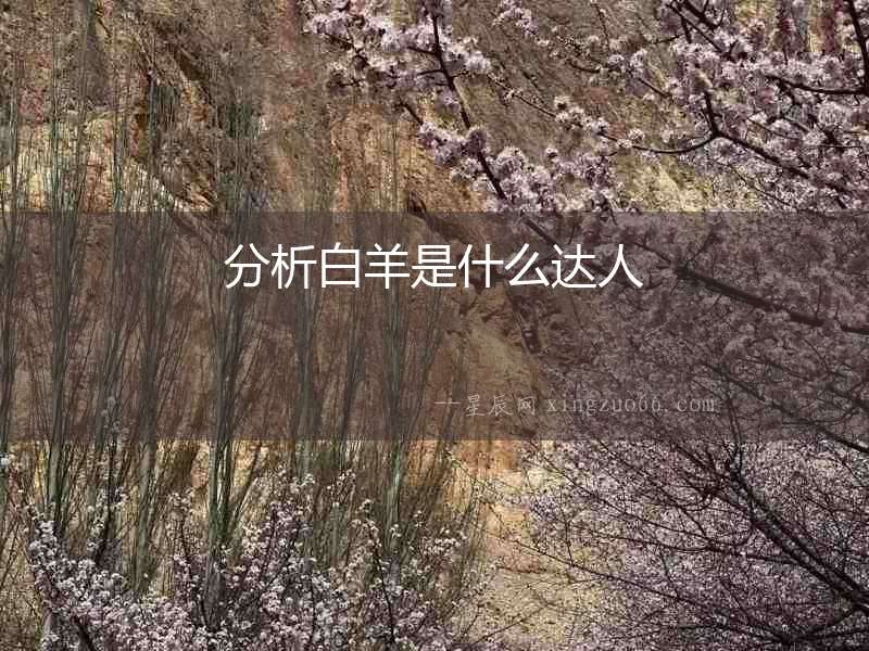分析白羊是什么達人