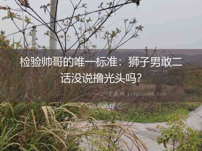 檢驗帥哥的唯一標準：獅子男敢二話沒說擼光頭嗎？