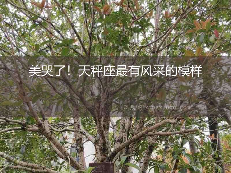 美哭了！天秤座最有風采的模樣