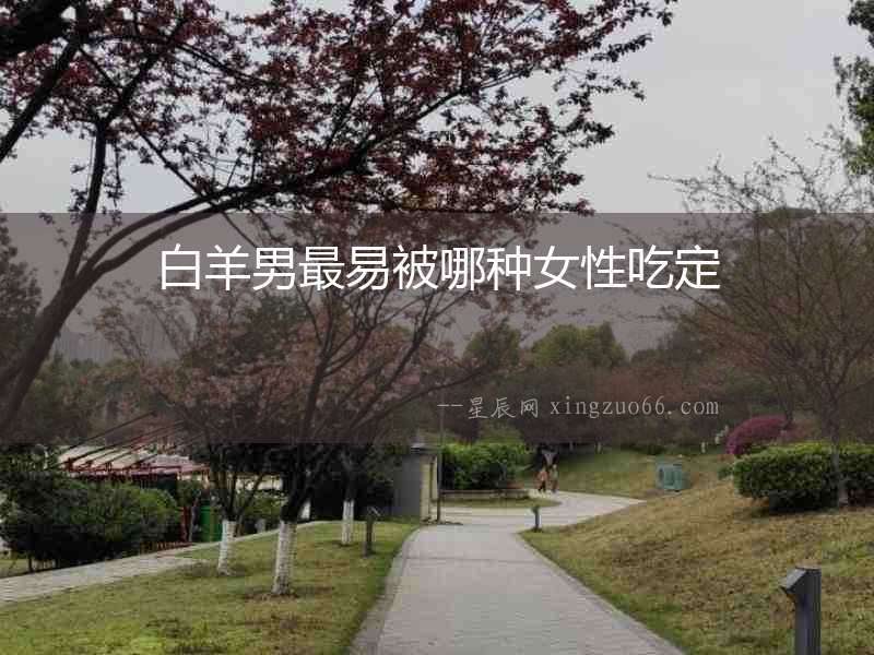 白羊男最易被哪種女性吃定