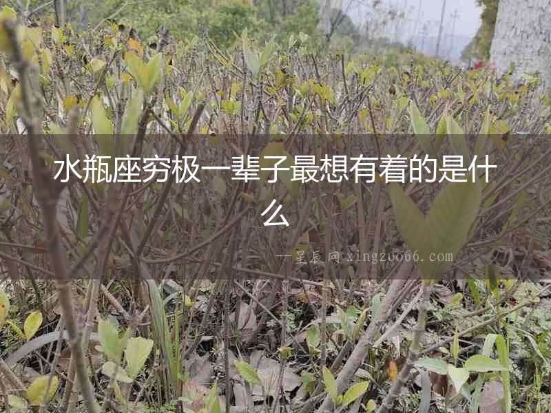 水瓶座窮極一輩子最想有著的是什么
