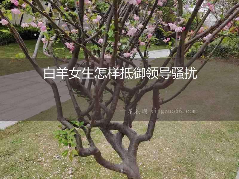 白羊女生怎樣抵御領導騷擾